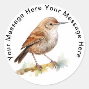 Pegatina Redonda House Wren