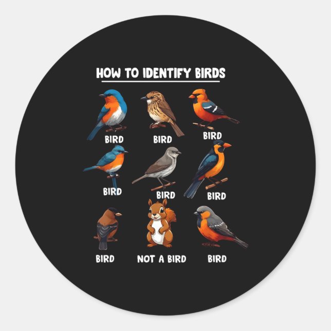 Pegatina Redonda How To Identify Birds Funny Birds Identification B (Anverso)