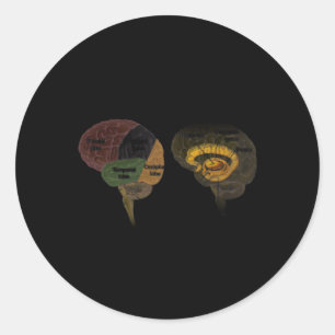 Pegatina Redonda Hu Brain Anatomy