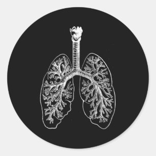 Pegatina Redonda Hu Pulmones Anatomía Pulmonóloga Pulmonóloga Pulmo