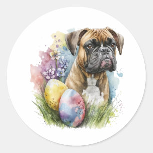 Pegatina Redonda Huevo de Pascua de Boxer, Feliz Boxer de Pascua