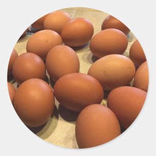 Pegatina Redonda Huevos marrones recién recolectados