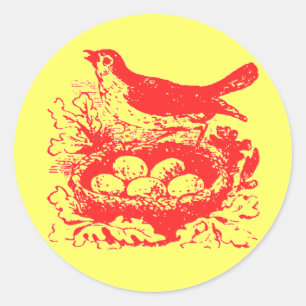 Pegatina Redonda Huevos y nidos de aves de la época
