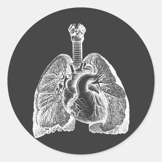 Pegatina Redonda Human Biology Anatomy Heart Lungs Science Art   (Anverso)