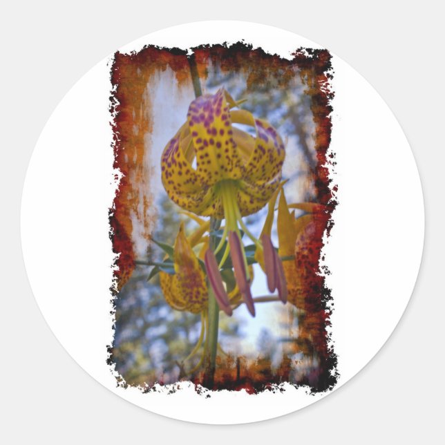 Pegatina Redonda Humboldt Lily (Anverso)