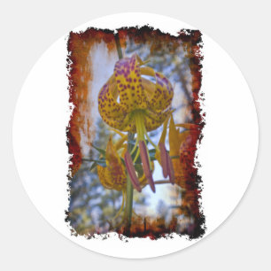 Pegatina Redonda Humboldt Lily