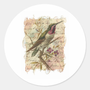 Pegatina Redonda Hummingbird