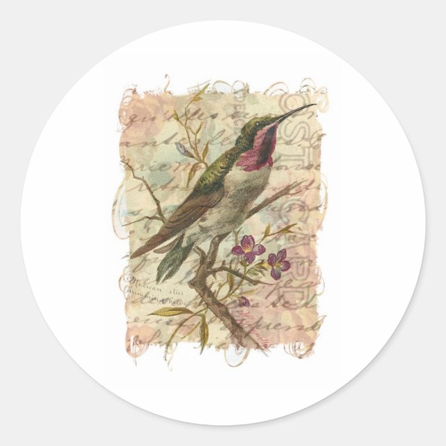 Pegatina Redonda Hummingbird (Anverso)