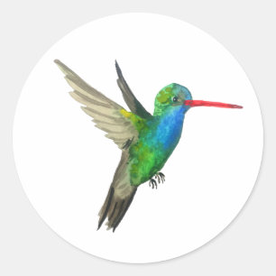 Pegatina Redonda Hummingbird