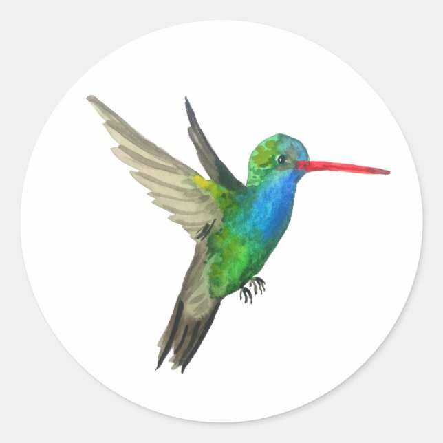 Pegatina Redonda Hummingbird (Anverso)