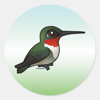 Pegatina Redonda Hummingbird