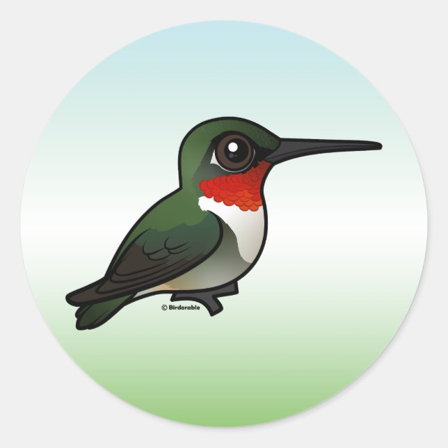 Pegatina Redonda Hummingbird (Anverso)