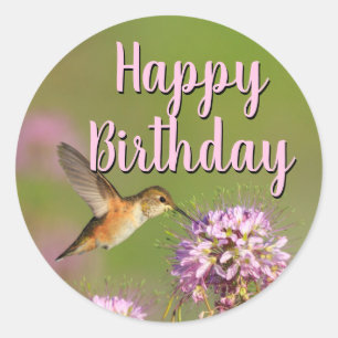 Pegatina Redonda Hummingbird feliz cumpleaños