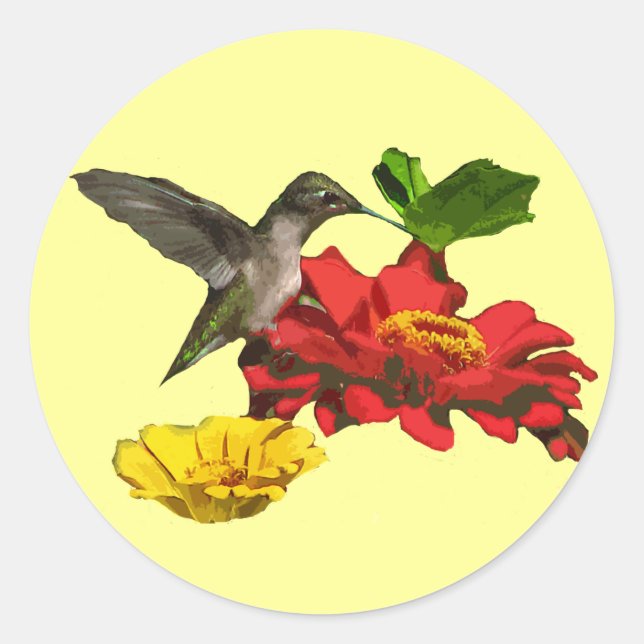 Pegatina Redonda Hummingbird y Zinnias (Anverso)