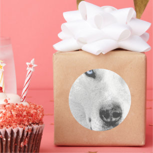 Pegatina Redonda Husky