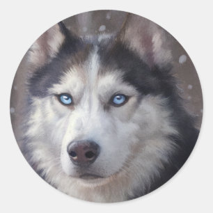 Pegatina Redonda Husky Siberian
