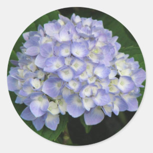 Pegatina Redonda Hydrangea