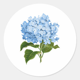 Pegatina Redonda Hydrangea azul Grandmillennial
