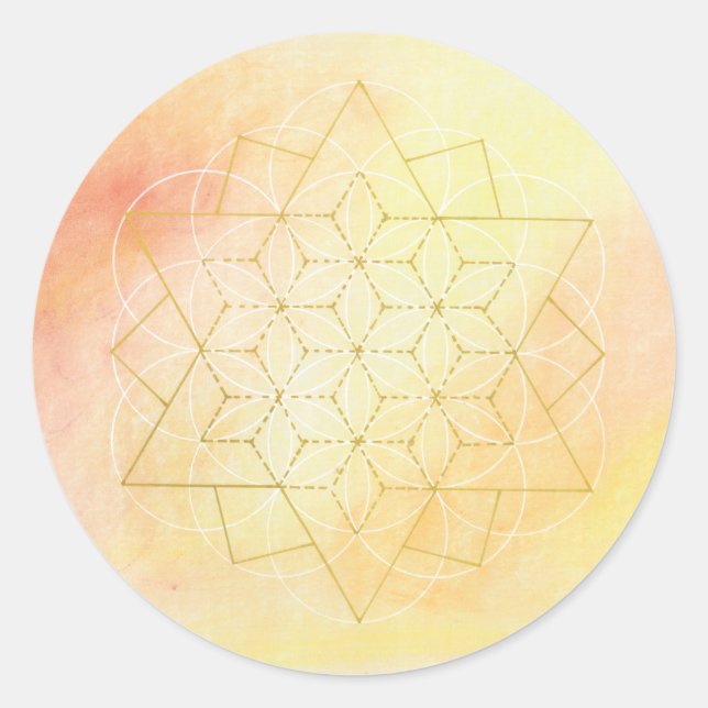 Pegatina Redonda I AM WHOLE  sticker (Anverso)