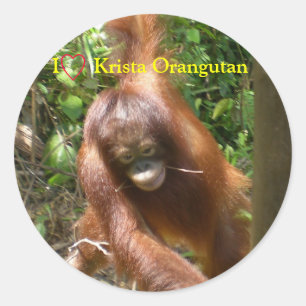 Pegatina Redonda I Heart Orangutans