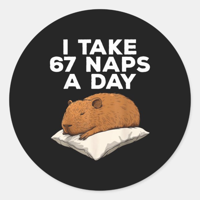 Pegatina Redonda I Take 67 Naps A Day Funny Capybara Six Seven Meme (Anverso)