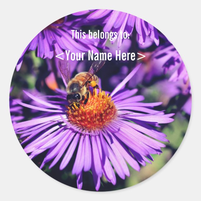 Pegatina Redonda Id. personalizado de Bee on Purple Aster Flower (Anverso)