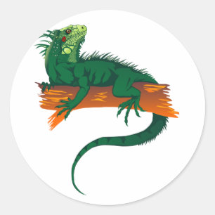 Pegatina Redonda Iguana en una rama