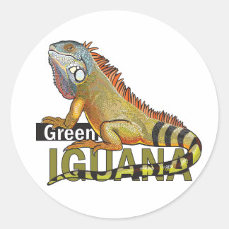 Pegatina Redonda iguana verde