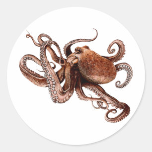 Pegatina Redonda Iker The Octopus