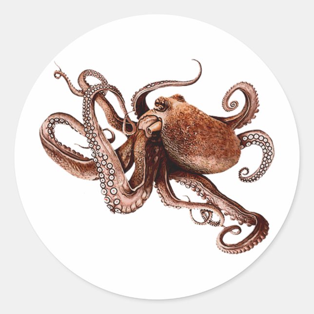 Pegatina Redonda Iker The Octopus (Anverso)