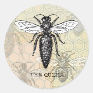 Pegatina Redonda Ilustración antigua de insecto bug abeja reina