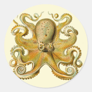 Pegatina Redonda Ilustración antigua de pulpo monstruo marino
