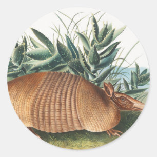 Pegatina Redonda Ilustracion Armadillo (Dasypus Peba) de nueve band