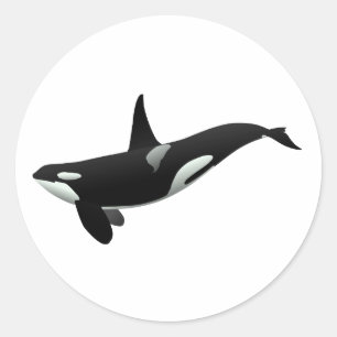 Pegatina Redonda Ilustracion de ballena orca - Elegir color de fond