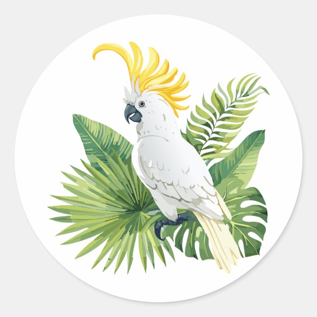 Pegatina Redonda Ilustración de cacatúa loro (Anverso)