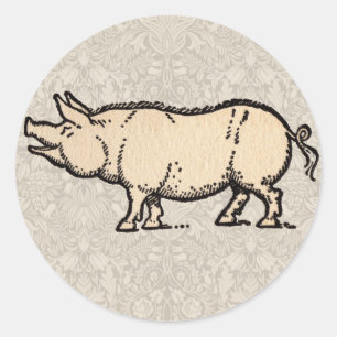 Pegatina Redonda Ilustracion de época de cerda de cerdo