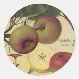 Pegatina Redonda Ilustracion de frutas vendidas botánicas de manzan