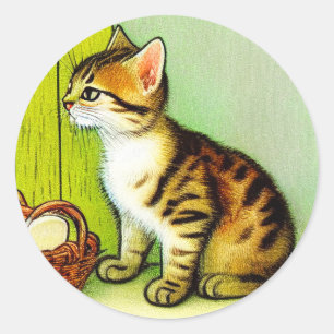 Pegatina Redonda Ilustracion de gato de tabby de época