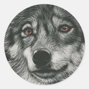 Pegatina Redonda ilustracion de lobo blanco y negro