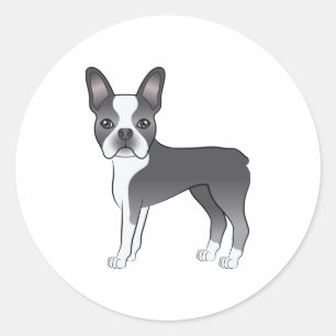 Pegatina Redonda Ilustración de perro Boston Terrier azul y blanco