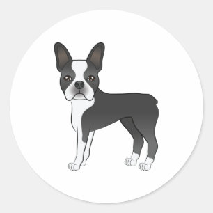 Pegatina Redonda Ilustración de perro Boston Terrier blanco y negro
