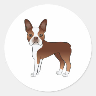 Pegatina Redonda Ilustración de perro Boston Terrier rojo y blanco