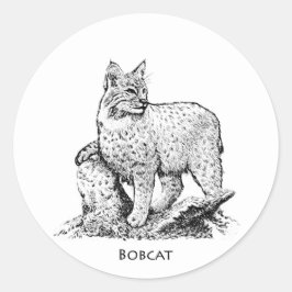 Pegatina Redonda Ilustracion del lince