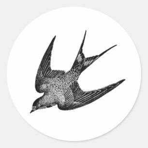 Pegatina Redonda Ilustracion del trago del vintage - pájaro antigu