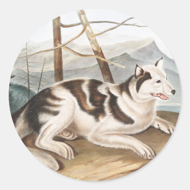 Pegatina Redonda Ilustracion Hare Indian Dog (Canis familiaris) (Anverso)