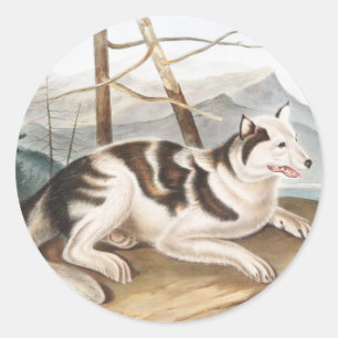 Pegatina Redonda Ilustracion Hare Indian Dog (Canis familiaris)
