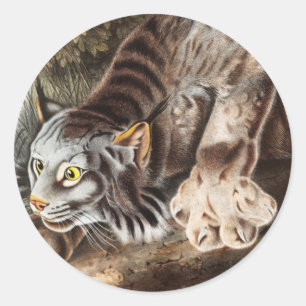 Pegatina Redonda Ilustracion Lynx (Lynx Canadensis) en Canadá