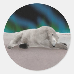Pegatina Redonda Ilustración pacífica de oso polar ártico en la nat