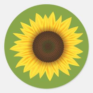 Pegatina Redonda Ilustracion Personalizado De Girasol Amarillo En V