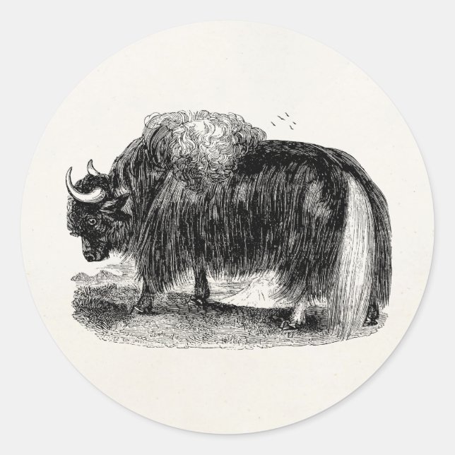 Pegatina Redonda Ilustracion retro del animal de los yacs de los (Anverso)